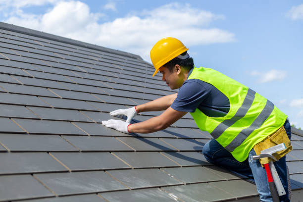 Professional Roofing Contractor in Denver, CO